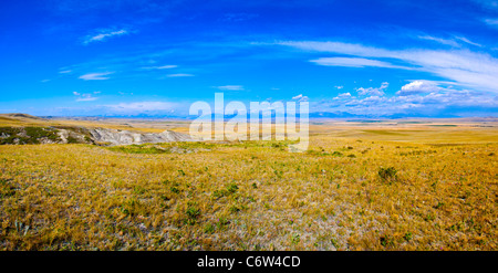 Wiesen am Berg in der Nähe ei Choteau, Montana. Ei Berg mit Nestern und Eiern der Duck-billed Dinosaurier, Maiasaura peeblesorum. Stockfoto