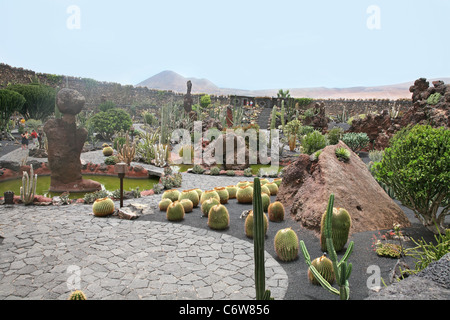 Jardin de cactus Stockfoto