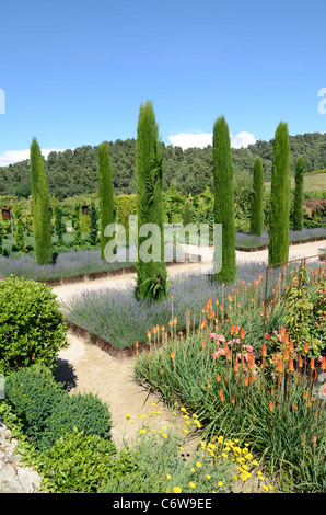 Val Joannis Gärten mit Avenue of Cypress Bäume, Betten von Lavendel & Red Hot Pokers oder Fackel Lilien, Kniphofia uvaria, Pertuis Provence Frankreich Stockfoto