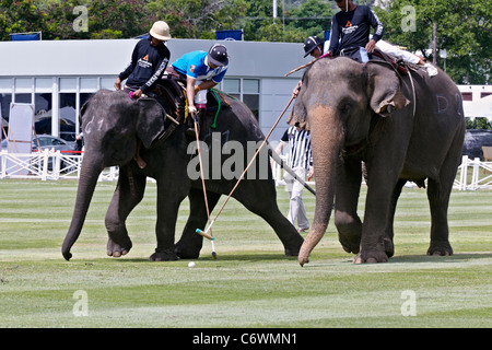 Elefanten-Polo-Spiel-Aktion. Kings Cup 2011. Hua Hin, Thailand, Südostasien Stockfoto