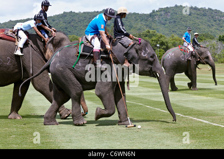 Elefanten-Polo-Spiel-Aktion. Kings Cup 2011. Hua Hin, Thailand, Südostasien Stockfoto