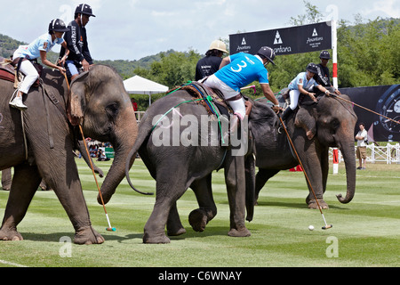 Elefanten-Polo-Spiel-Aktion. Kings Cup 2011. Hua Hin, Thailand, Südostasien Stockfoto