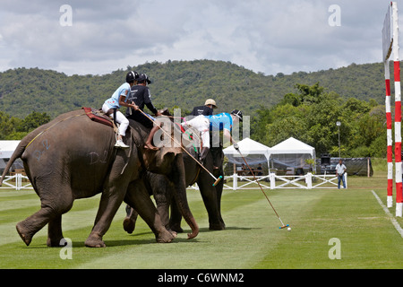 Elefanten-Polo-Spiel-Aktion. Kings Cup 2011. Hua Hin, Thailand, Südostasien Stockfoto