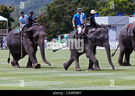 Elefanten-Polo-Spiel-Aktion. Kings Cup 2011. Hua Hin, Thailand, Südostasien Stockfoto