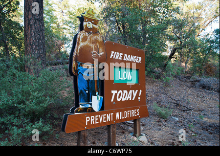 Smokey Bear (oft Smokey der Bär oder einfach Smokey genannt) ist ein Maskottchen der United States Forest Service geschaffen, um zu erziehen. Stockfoto