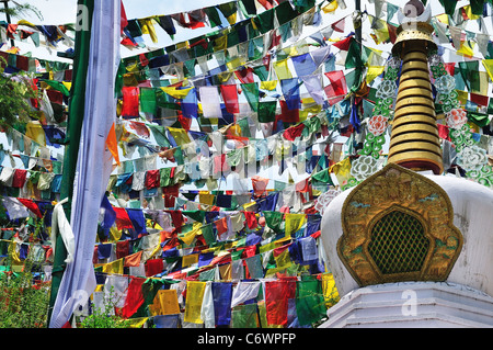 Tibetische Gebetsfahne Tsuglagkhang Tempel. Stockfoto