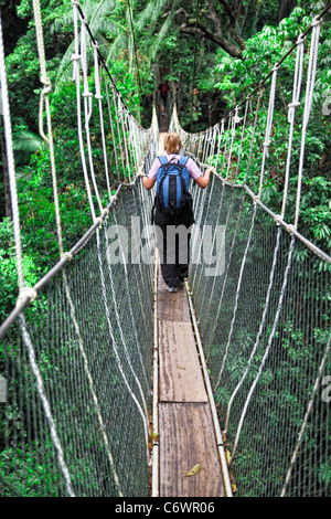 Baldachin-Brücke in Taman Negara, malaysia Stockfoto