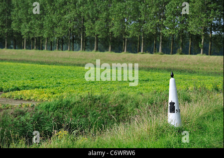 Weiße Grenze / border Post zwischen den Niederlanden und Belgien im Polder gesäumt von Pappeln, Meetjesland, Ost-Flandern Stockfoto