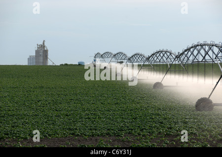 Landwirtschaftlicher Haupterwerbsbetrieb Bewässerung Sprayer Besprühen der Pflanzen mit Wasser. Getreidesilo im Hintergrund. Stockfoto