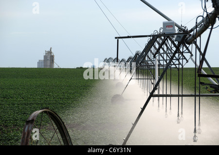 Landwirtschaftlicher Haupterwerbsbetrieb Bewässerung Sprayer Besprühen der Pflanzen mit Wasser. Getreidesilo im Hintergrund. Stockfoto