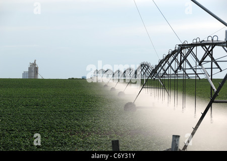 Landwirtschaftlicher Haupterwerbsbetrieb Bewässerung Sprayer Besprühen der Pflanzen mit Wasser. Getreidesilo im Hintergrund. Stockfoto