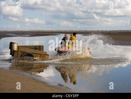 Beach Cocklers bei Ebbe auf Sandflächen in Marshside zu Beginn der Cockle-Ernte-Saison. Lizenzierte Handversammlung in Southport, Merseyside, Großbritannien Stockfoto