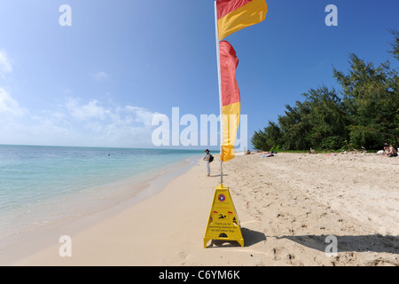 Rote und gelbe Flagge am Strand, Green Island, Great Barrier Reef, Queensland, Australien Stockfoto