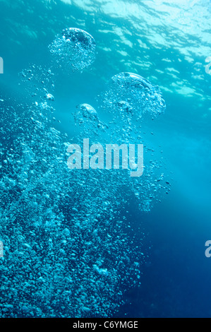 Scuba Diver Bläschen steigen-bis zur Oberfläche, Unterwasser Ansicht, Mittelmeer, Marseille, Frankreich Stockfoto