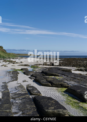 dh South Wick PAPA WESTRAY ORKNEY weißer Sandstrand felsige Küste Küste Küste niemand uk Stockfoto