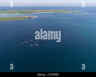 dh Scottish Lachs fishfarm WESTRAY ORKNEY Islands Circular fish Farm Käfige von oben aus der Luft abgelegene Insel schottland Stockfoto