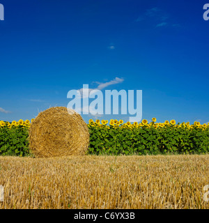 Hay bales in Auvergne, France Stockfoto