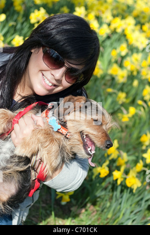 Eine junge Frau in ihren 20ern halten ihre Borkie Beagle Yorkshire Terrier Mischling Hund. Stockfoto