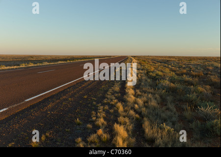 Australische Outback Straße. Rot in der Nachmittagssonne mit golden Grass. Stockfoto