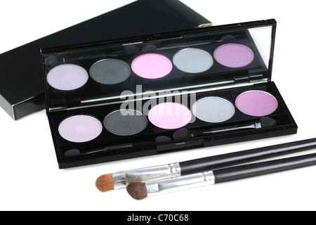 Lidschatten Palette und zwei professionelle Make-up Pinsel, Closeup auf weiß Stockfoto