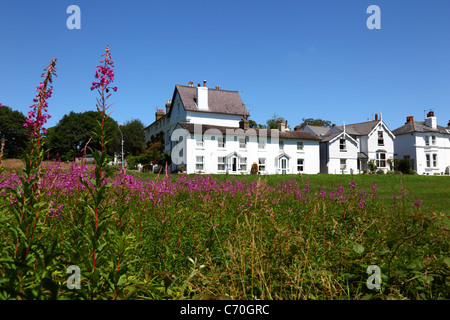 Rosebay Willowhere (Epilobium angustifolium) und Cottages am Southborough Common, nahe Tunbridge Wells, Kent, England Stockfoto