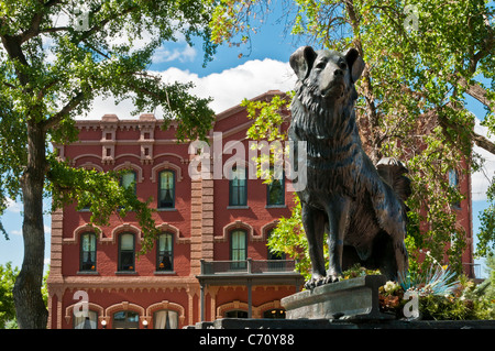 Bronzestatue des Hundes "Shep" des Bildhauers Bob Scriver, mit dem Grand Union Hotel hinter, in Fort Benton, Montana. Stockfoto