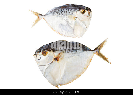 Getrockneter Fisch isoliert auf weißem Hintergrund Stockfoto