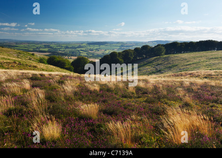 Blick nach unten Paradies Combe von Thorncombe Hill. Quantock Hills. Somerset. England. VEREINIGTES KÖNIGREICH. Stockfoto