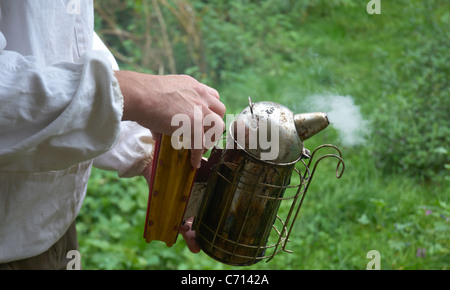 Imker testet die Raucher vor dem Gebrauch Stockfoto