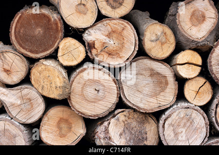 Haufen von Protokollen für Brennholz geschnitten Stockfoto