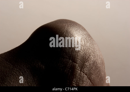 Eine Nahaufnahme Schuss von der Ferse des einen mans Palm vor einem neutralen Hintergrund. Stockfoto