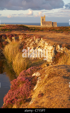 St Helena's Church Im goldenen Abendlicht mit Heidekraut und Rakete Pole Teich im Vordergrund auf Lundy Island, Devon, England, UK im August Stockfoto
