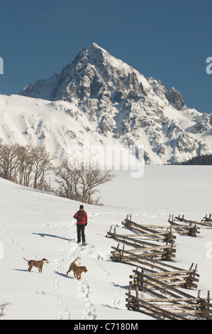 Frau mit Hunden unter Mount Sneffles, Ridgeway, Colorado Schneeschuhwandern. Stockfoto