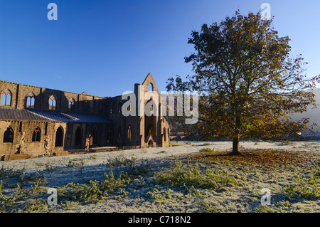 Die Ruinen von Tintern Abbey an einem frostigen Morgen im Herbst. Tintern, Monmouthshire, South Wales. Stockfoto
