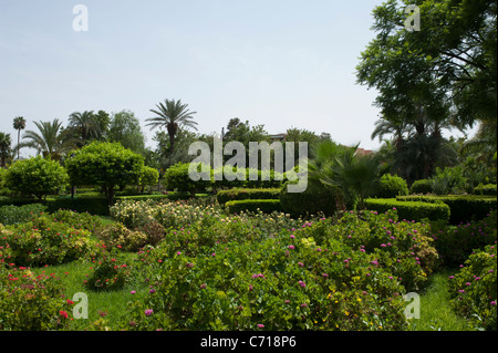 Koutoubia Gärten, Marrakesch, Marokko. Stockfoto