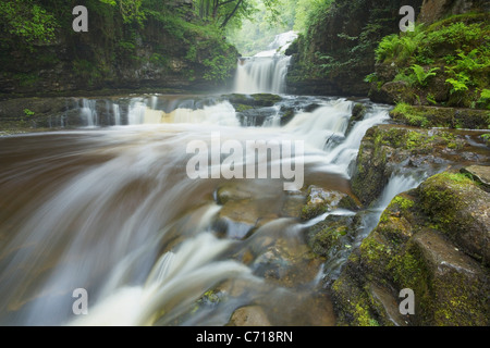 Sgwd Isaf Clun-Gwyn Wasserfall. In der Nähe von Ystradfellte. Brecon Beacons National Park. Powys. Wales. VEREINIGTES KÖNIGREICH. Stockfoto