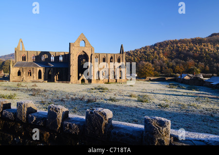 Die Ruinen von Tintern Abbey an einem frostigen Morgen im Herbst. Tintern, Monmouthshire, South Wales. Stockfoto