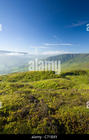 Craig Cerrig-Gleisiad (rechts) vom Fan Frynych. Craig Cerrig-Gleisiad National Nature Reserve. Brecon Beacons. Wales. VEREINIGTES KÖNIGREICH. Stockfoto