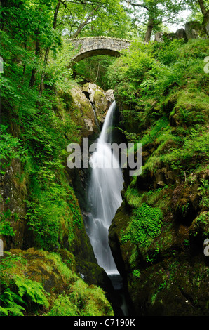Aira Force Wasserfall auf Aira Beck im Lake District National Park in der Nähe von Dockray und Glenridding, Cumbria, England. Stockfoto