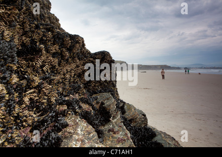 Strand der Kathedralen - Praia als Catedrais aufsuchen - Ribadeo, Lugo, Galicien, Spanien Stockfoto