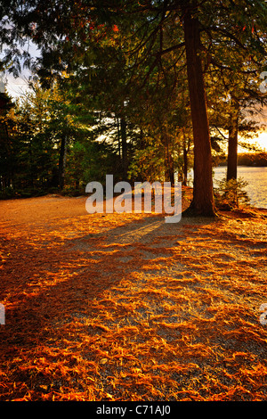 Sonnenuntergang am Ufer des Sees von Two Rivers im Algonquin Park, Ontario, Canada Stockfoto