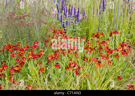 Gräser mit Grace RHS Flower Show Tatton Park Cheshire 2011 Designed by Sue Beesly mit Goldmedaille ausgezeichnet Stockfoto