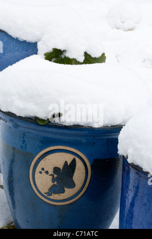 Blaue Fee Pflanzgefäß Topf im Schnee Winter überdacht Stockfoto