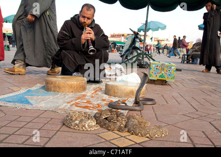 Schlangenbeschwörer auf Djamaa el Fna Platz in Marrakesch, Marokko Stockfoto