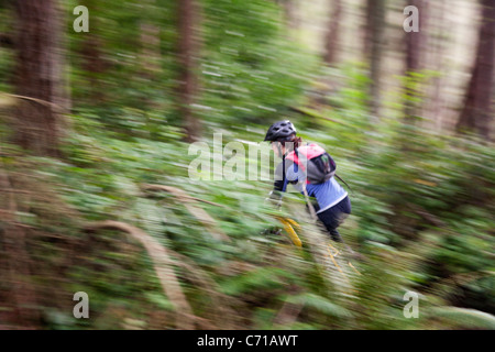 Eine Frau windet sich durch eine Mountainbike-Strecke eingleisig. Stockfoto