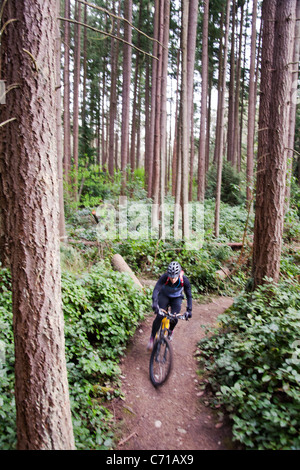 Eine Frau windet sich durch eine Mountainbike-Strecke eingleisig. Stockfoto