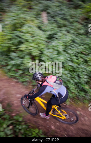 Eine Frau windet sich durch eine Mountainbike-Strecke eingleisig. Stockfoto