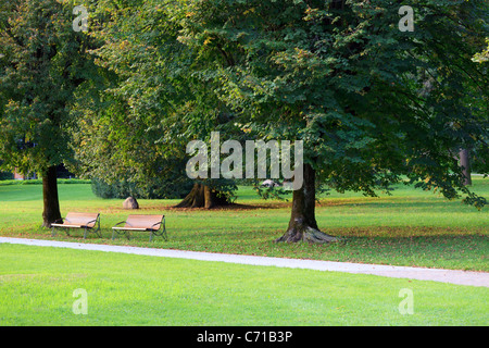 Herbstliche Grünanlage mit Bänken unter riesigen Bäumen in Levico. Konzentrieren Sie sich auf zwei Bänke auf der linken Seite Stockfoto