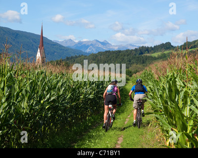 Zwei Mountainbiker fahren zwischen Maisfeldern im Pustertal, mit einer Kirche im Hintergrund. Stockfoto
