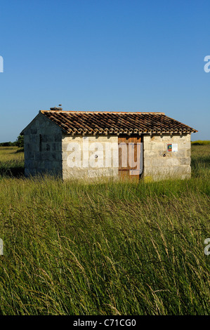 Typische Scheune in den Sümpfen in Mortagne Sur Gironde, Gironde-Mündung südlich von Charente Maritime Abteilung, Frankreich Stockfoto